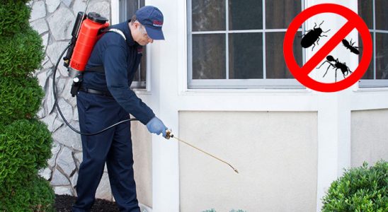 Çatak Bit İlaçlama böcek ilaçlama ve haşere kontrolü — ilaclama-tr.com